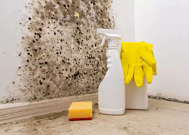 Your Reliable Restoration Company in Suches, GA