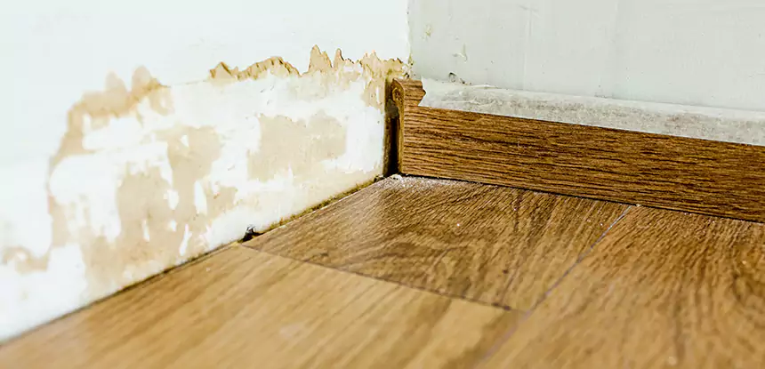 Professional Fix Water Damaged Wood Services in Suches, GA